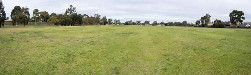 Wall Mural - Panoramic background texture of a large grass lawn in a public sports ground in a local urban park of a suburb in Australia. Panorama vacant land with copy space for design.