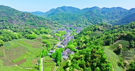 Wall Mural - Aerial view of green tea plantation and village with mountain natural landscape in Hangzhou, China. Beautiful countryside scenery in the valley.