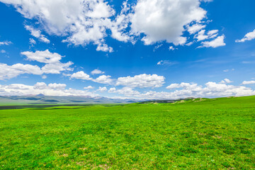 Wall Mural - Green meadow and sky clouds nature landscape on a sunny day