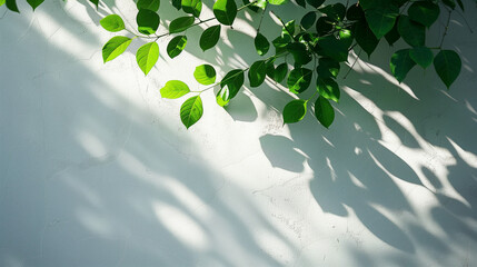 Wall Mural - Shadow from tree leaves on an uneven sunlit white wall, background, backdrop for presentations