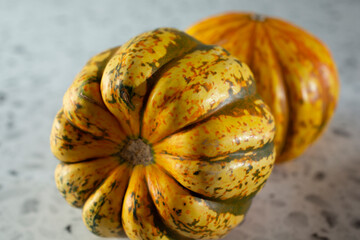 Sticker - A closeup view of a bottom portion of carnival squash.