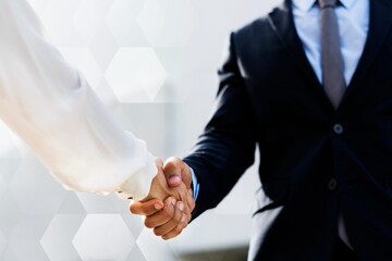Wall Mural - Business people shaking hands for an agreement