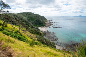 Sticker - Mangawhai Cliff Walk - New Zealand