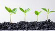 © Suriyo - Success concept on white background growth.