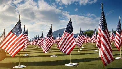 US Flag raising ceremony