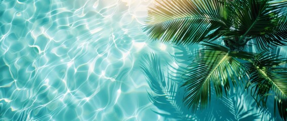 Wall Mural - Close-up shadows of palm fronds on the water, blurred backgrounds and banners containing areas of replicated space. Soft blue style for summer concept.