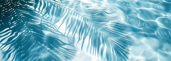 Wall Mural - Close-up shadows of palm fronds on the water, blurred backgrounds and banners containing areas of replicated space. Soft blue style for summer concept.