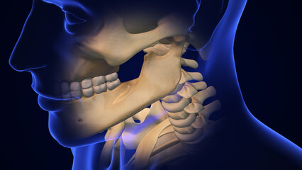 Wall Mural - Broken Jaw joint with Metal Plate and Screws