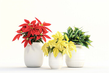Wall Mural - Red plant in a white vase, yellow plant in a white vase, and green plant in a white pot, isolated on a white background.