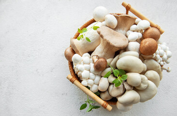 Wall Mural - Variety of mushrooms