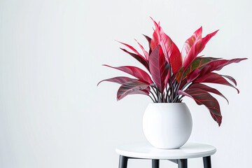 Wall Mural - Chic red plant in a white vase on a modern small table, showcased against a pure white background.