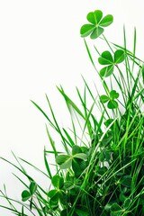 Wall Mural - Isolated green grass with the clover leaf on white background,copy space.