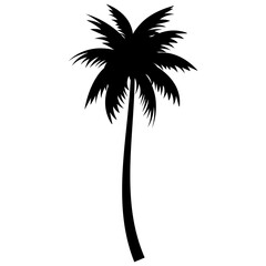 Sticker - Palm trees silhouettes tropical summer. Palm tree icon.