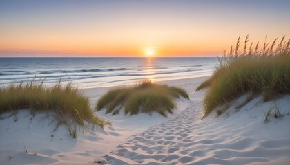 A serene beach background at sunset, with a sandy path leading through tall grass towards the ocean