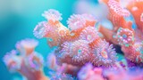 coral polyp extending its tentacles pastel color, revealing the microscopic world within coral reefs