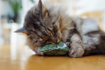 fabric pillow roll filled with catnip for play and interest of cats