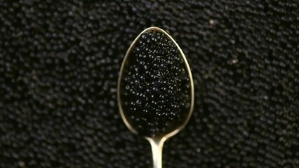 Wall Mural - Black Caviar in silver spoon over caviar backdrop. High quality natural sturgeon black caviar close-up. Delicatessen. Texture of expensive luxury caviar background. Slow motion, top view