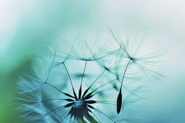 Wall Mural - Detailed view of dandelion seed amidst blurred seeds scattering under soft blue sky