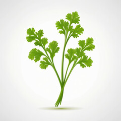 Wall Mural - bunch of parsley icon, vector style, white isolated background