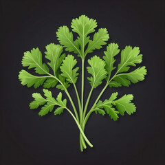 Wall Mural - bunch of parsley icon, vector style, white isolated background