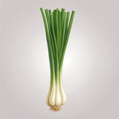 Wall Mural - fresh green onion icon, vector style, white isolated background,