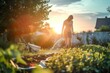 © alisaaa - A woman is watering the garden at sunset. Gardening.