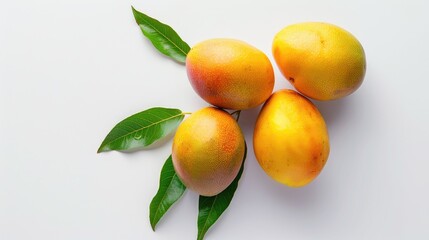 Wall Mural - Mango isolated on a white background from the top perspective