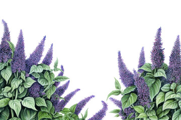 Wall Mural - PNG  Backgrounds lavender outdoors flower.