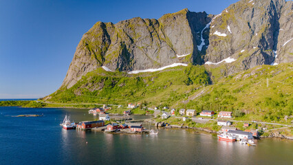 Wall Mural - An aerial view of a quaint village in Norway, nestled at the base of towering mountains. The picturesque scene features red-roofed houses, boats in the harbor, and lush greenery. Reine, Lofoten