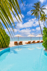 Sticker - Stunning landscape, swimming pool blue sky clouds. Tropical resort hotel in Maldives. Fantastic relax and peaceful vibes, chairs, loungers under umbrella and palm tree leaves. Luxury travel vacation
