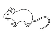 Mouse line art vector illustration