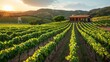 © DARIKA - A picturesque vineyard nestled in the rolling hills, with neat rows of grapevines stretching towards the horizon and a rustic tasting room offering samples of fine wines. Illustration, Minimalism,