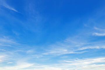 Wall Mural - sky is blue and clear with no clouds