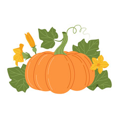 Pumpkin with vines and leaves. Fall floral arrangement with colorful pumpkin, flower, and leaves. Hand drawn flat style Isolated on transparent. Seasonal harvest Cucurbita plant. Vector illustration