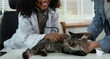 © NINENII - Female veterinary doctor using stethoscope for kitten. veterinary clinic.