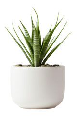 Sticker - PNG White planter pottery aloe vase.