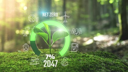 Wall Mural - net zero emissions 2050 countdown animation young plant springing up out of the moss soil