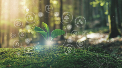 Wall Mural - ecological green energy icons concept young plant springing up out of the moss soil