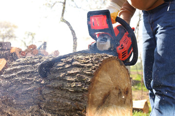 Wall Mural - Man sawing wooden log on sunny day, closeup