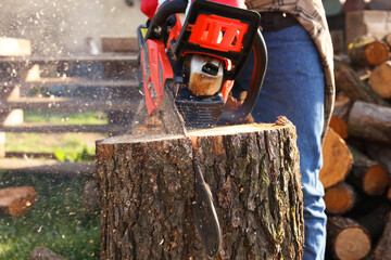 Wall Mural - Man sawing wooden log on sunny day, closeup