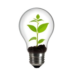 Wall Mural - a green plant sprout growing inside a glass light bulb, representing the concept of renewable energy