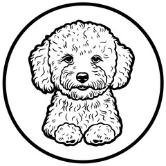 Wall Mural - Bichon Frise