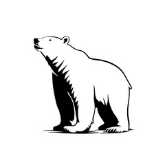 Wall Mural - Standing Polar Bear On Feet