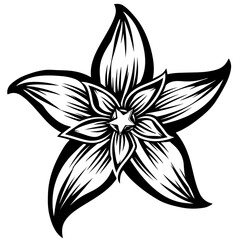 Poster - Star Flower