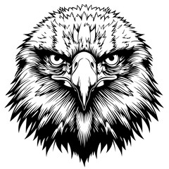 Wall Mural - Bald Eagle Face