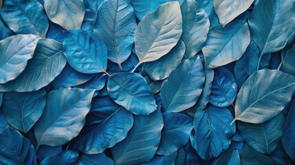 Wall Mural - Photograph of Leaf Background Texture Pattern