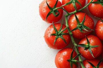 Canvas Print - Fresh Vine Tomatoes on White Background