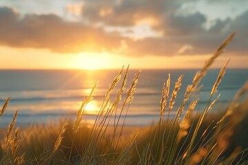 Wall Mural - Sunset Over Ocean with Grass in Foreground