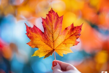 Poster - Autumn Maple Leaf in Hand