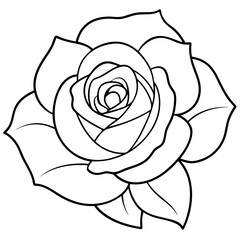 Poster - illustration of a rose